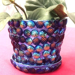 Maceta azul/morada - Maceta - Jardín interior - Amantes de las plantas.