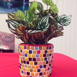 Op de afbeelding: Een plant in een pot met groene en wit gestreepte bladeren in een kleurrijke mozaïekpot. De pot is gemaakt van kleine vierkante tegels in tinten rood, oranje, geel, blauw en bruin.