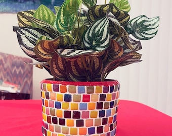 Rainbow Mosaic Plant Pot: Colorful Ceramic Tile Planter