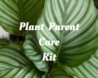 Plant Parent Starter Kit, Seeds, Tools, Care Binder