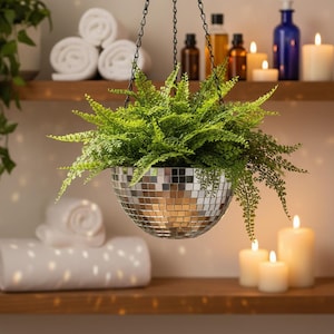 Mirrored Hanging Planter