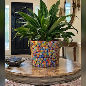 Puede incluir: Una maceta cilíndrica cubierta con un mosaico colorido de pequeños azulejos cuadrados en tonos rojo, azul, amarillo, verde y naranja. Una planta verde exuberante con hojas variegadas se encuentra dentro de la maceta. El texto @missbettescreations es visible.