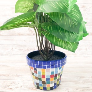 May include: A green leafy plant in a blue and multi-coloured mosaic planter pot. The pot is made of small square tiles.