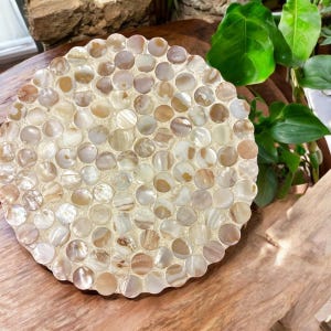 May include: A round, white coaster made of iridescent mother of pearl tiles. The tiles are arranged in a circular pattern and have a slightly raised texture.