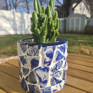 Puede incluir: Una planta de cactus en una maceta de mosaico azul y blanco. La maceta está hecha de trozos de porcelana rotos, creando un aspecto único y decorativo.