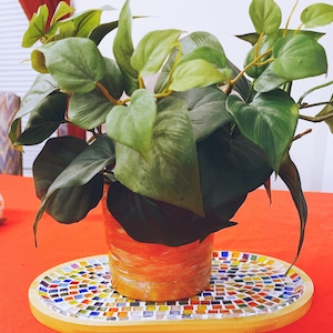 Op de afbeelding: Een groene plant in een pot met grote bladeren staat op een kleurrijk, ovaal mozaïekblad. Het blad is gemaakt van hout en heeft een natuurlijke afwerking.