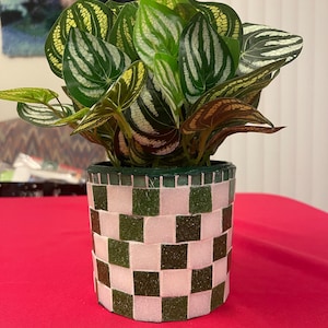 Groene en witte plantenbak