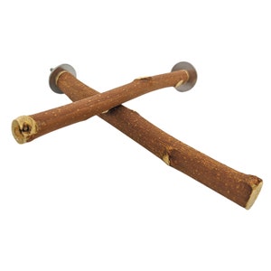 Mulberry Parrot Perch, Natural Wood Perch for Small Birds with Stainless Steel Hardware