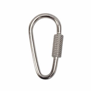 May include: A silver metal carabiner with a threaded screw gate.