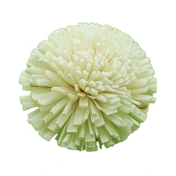 Snowball, Sola Parrot Toy, Pack