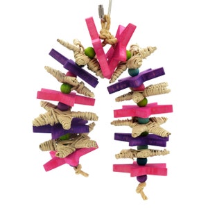 Vine and Hardwood Bird Toy, Parrot Toy for Small to Medium Birds, (Star Power)