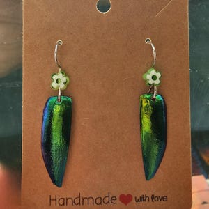 Jewel Beetle Wings
