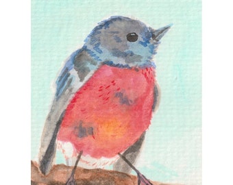 Pink Robin