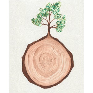 Tree Rings