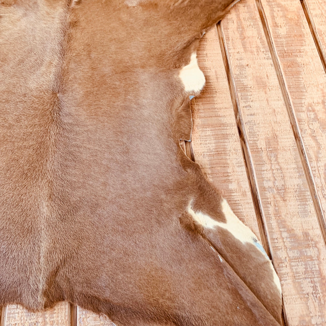 Light Brown & Yellow Cowhide Skin Calf Hide Cowhide Rug Leather 3 X 3