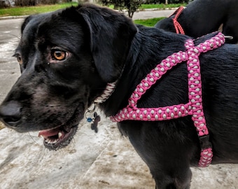only uniqueness dog harness