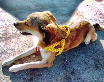macrame dog harness
