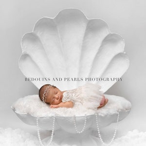 Digital backdrop Newborn baby Pearl Shell Sea photography prop background