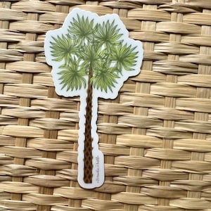 Palmetto Tree Vinyl Sticker, Waterproof Die-Cut Illustration, Original Art, Southern Aesthetic, South Carolina Laptop/Water Bottle/Car Decal