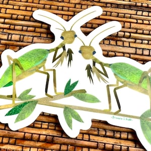 Praying Mantis Duo Sticker: Waterproof Insect Illustration Art