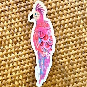 Pink Parrot Large Vinyl Sticker: Tropical Bird Art Decal