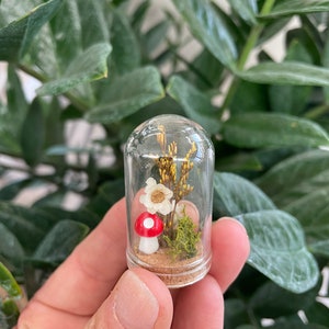 Mushroom fairy jar MEDIUM