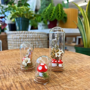 Mushroom fairy jar SET