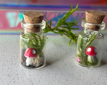 Kleines Terrarium