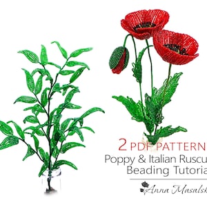 Patrones de flores con cuentas francesas, flores con cuentas de semillas, amapolas con cuentas y ruscus italiano, decoración del hogar de bricolaje