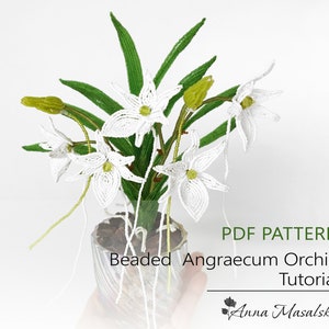 May include: A white beaded Angraecum orchid in a pot. The PDF pattern for this beaded flower is available for purchase. The text on the image reads "PDF PATTERN Beaded Angraecum Orchid Tutorial Anna Masalska".