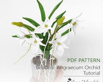 Molde em PDF - Orquídea francesa em miniatura com miçangas, Orquídea Angraecum de Natal, moldes de miçangas, flores com miçangas