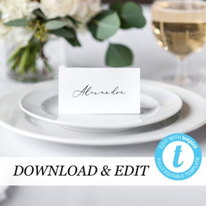 Place card Template Printable Wedding Place Cards Wedding Place Cards Templett, simple elegant Editable Pdf DIY Place cards 10 11
