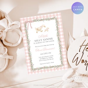 May include: A baby shower invitation with a pink gingham background and a floral border. The invitation features the text "A little SILLY GOOSE is almost on the loose" with a graphic of a mother goose and gosling. The invitation also includes the date, time, and location.