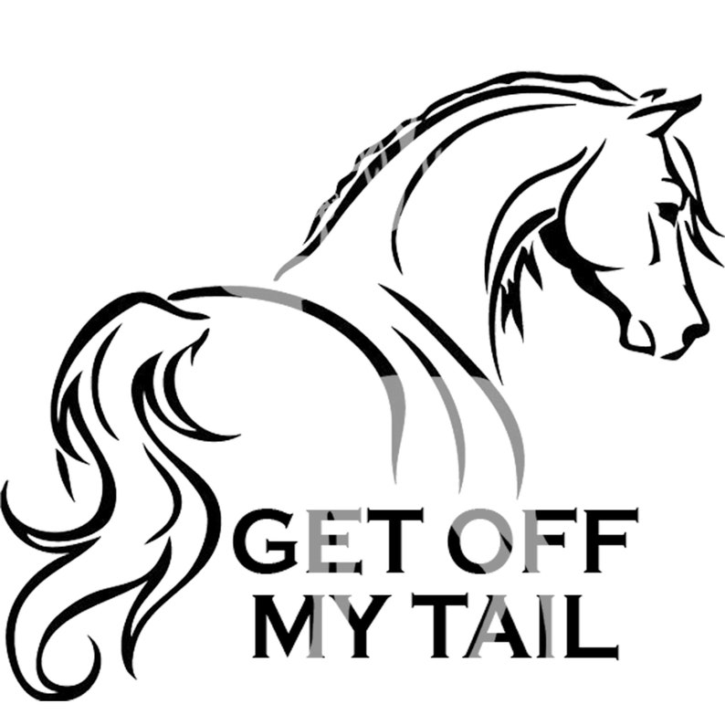 Get Off My Tail Vinyl Car Decal Gift Idea image 1