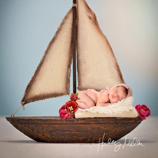 Newborn Girl Digital Backdrop/Background Sailboat/Moana - Aqua - Red Flower Photography Overlay - 4 pack!