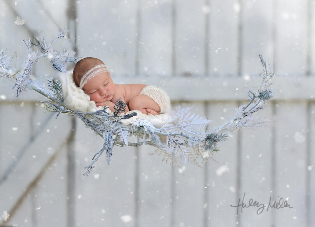 Winter Branch Newborn Digital Backdrop/background Falling Snow - Etsy