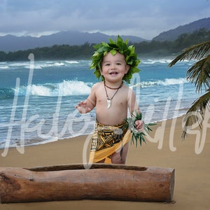 Instant Download - Digital Backdrop - Hawaii Beach Backdrop - Digital Ocean - Digital Background - Old Canoe - 3 files!