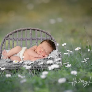 Newborn Digital Backdrop Wooden Bench Outside Instant Download!