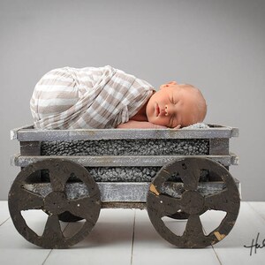 Newborn Boy Digital Backdrop/Background Rustic Gray Wagon/Cart Photography Prop Instant Download