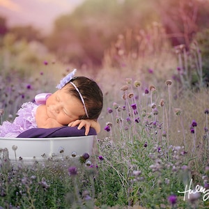 3X Beautiful Purple Thistle Digital Backdrop/Background plus Flower Overlay PSD File!