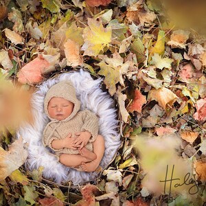 Gorgeous Fall/autumn Newborn Digital Backdrop/background Top - Etsy