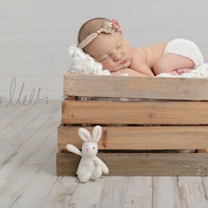 Newborn Easter Digital Backdrop - Simple Background - Bunny/Wood Crate - Digital Background/Backdrop - Boy/Girl