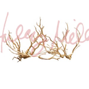 Digital Gold Mermaid Crown Photoshop Overlay Instant Download!