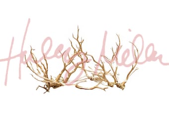 Digital Gold Mermaid Crown Photoshop Overlay Instant Download!