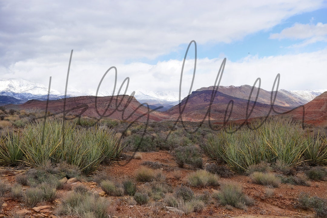 4 Pack! Amazing Red Rock - Desert - Western - Outside - Nature ...