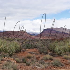 4 pack!  Amazing Red Rock - Desert - Western - Outside - Nature - Digital Backdrop/Background - Instant Download