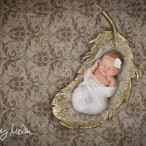 Newborn Girl Digital Backdrop/Background - Classy Simple Gold Feather Damask Photography Prop