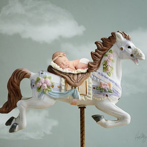 Beautiful Carousel Horse - Newborn - Digital Backdrop - Digital Background