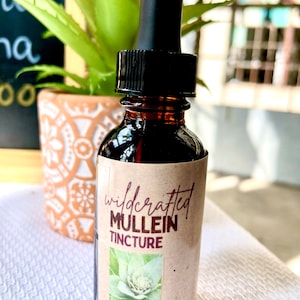 Mullein Tincture
