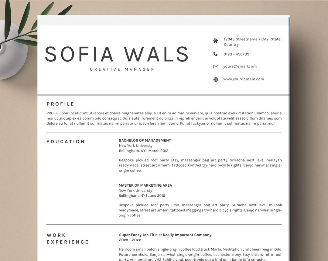 Professional & Modern Resume Template for Word Apple Pages Resume ...